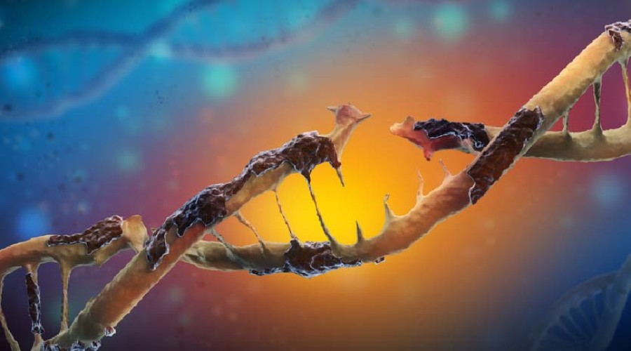 ABclonal: Špičkové protilátky testované na knockoutu pro Western blot, průtokovou cytometrii a více!
