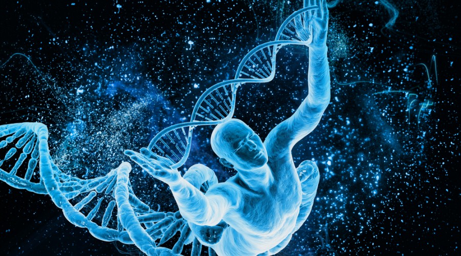 Kilobaser - kávovar na DNA primery