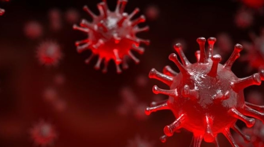 Detekce mutantních variant koronaviru SARS-CoV-2