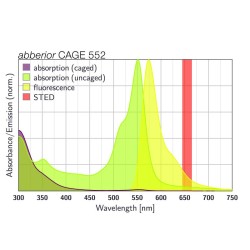 abberior CAGE 552 maleimide,1 mg