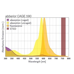 abberior CAGE 590 maleimide 250 µg