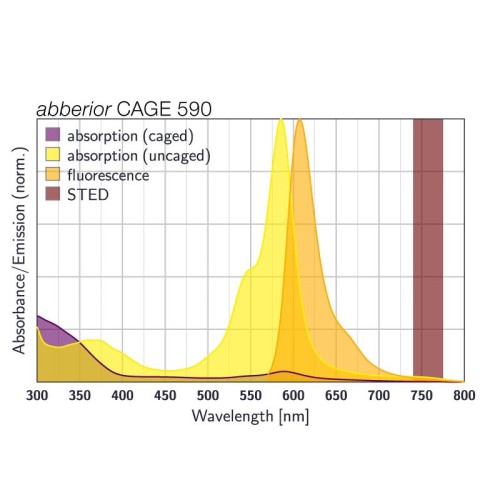 abberior CAGE 590, streptavidin, 1 mg