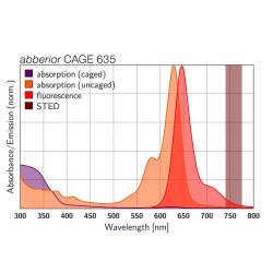 abberior CAGE 635, NHS ester, 250 µg