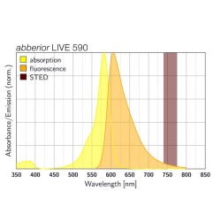 abberior LIVE 590, Halo, 30 nmol
