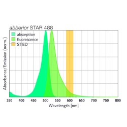 abberior STAR 488, maleimide, 1 mg