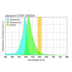 abberior STAR GREEN, goat anti-rat IgG, 500 µl (1 mg/ml)