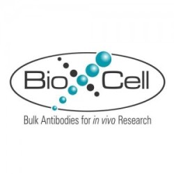 InVivoMAb anti-mouse IFNγ