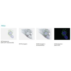 HT-2 Fluorescenční holotomografický mikroskop