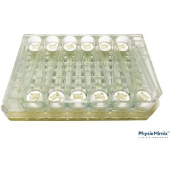 PhysioMimix™ T1