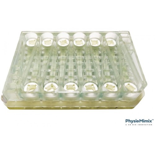 PhysioMimix™ T1
