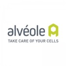 Alveole
