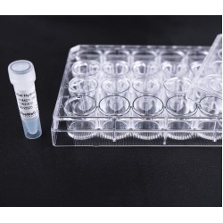 VitroGel® 3D Cell Invasion Assay Kit (12 inserts)