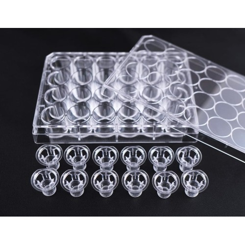 VitroPrime™ Cell Culture Inserts, 3.0 µm